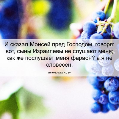 Picture 06 - Исход 6:12 RUSV - И сказал Моисей пред - Bible Verse Picture