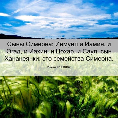 Picture 06 - Исход 6:15 RUSV - Сыны Симеона: Иемуил и - Bible Verse Picture