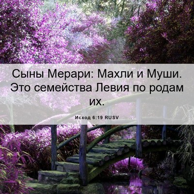 Picture 06 - Исход 6:19 RUSV - Сыны Мерари: Махли и Муши. - Bible Verse Picture