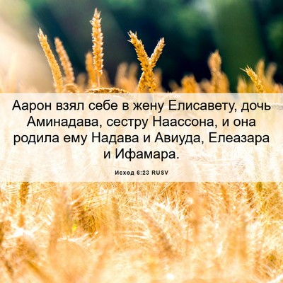 Picture 06 - Исход 6:23 RUSV - Аарон взял себе в жену - Bible Verse Picture