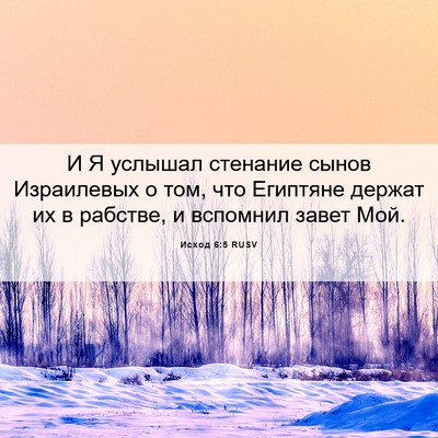 Picture 06 - Исход 6:5 RUSV - И Я услышал стенание сынов - Bible Verse Picture
