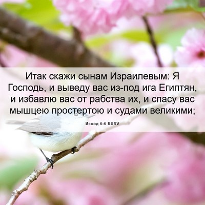 Picture 06 - Исход 6:6 RUSV - Итак скажи сынам - Bible Verse Picture