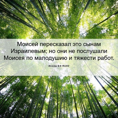 Picture 06 - Исход 6:9 RUSV - Моисей пересказал это - Bible Verse Picture