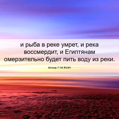 Picture 06 - Исход 7:18 RUSV - и рыба в реке умрет, и река - Bible Verse Picture