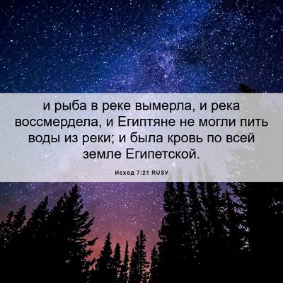 Picture 06 - Исход 7:21 RUSV - и рыба в реке вымерла, и - Bible Verse Picture