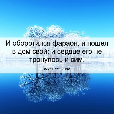 Picture 06 - Исход 7:23 RUSV - И оборотился фараон, и - Bible Verse Picture