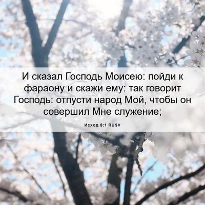 Picture 06 - Исход 8:1 RUSV - И сказал Господь Моисею: - Bible Verse Picture