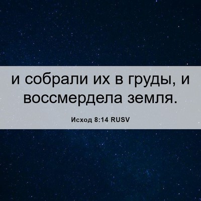 Picture 06 - Исход 8:14 RUSV - и собрали их в груды, и - Bible Verse Picture