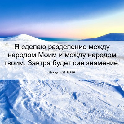 Picture 06 - Исход 8:23 RUSV - Я сделаю разделение между - Bible Verse Picture