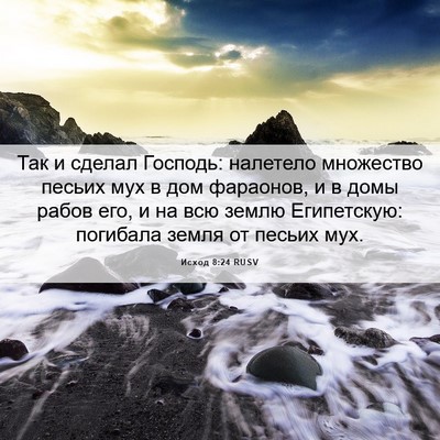 Picture 06 - Исход 8:24 RUSV - Так и сделал Господь: - Bible Verse Picture