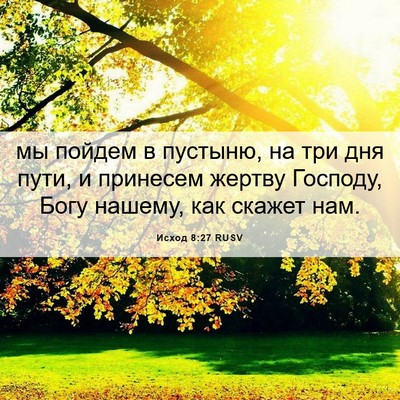 Picture 06 - Исход 8:27 RUSV - мы пойдем в пустыню, на три - Bible Verse Picture