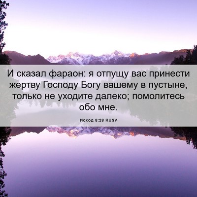 Picture 06 - Исход 8:28 RUSV - И сказал фараон: я отпущу - Bible Verse Picture