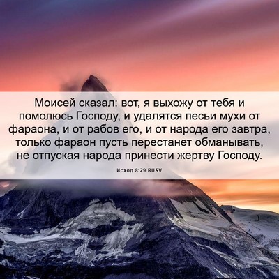 Picture 06 - Исход 8:29 RUSV - Моисей сказал: вот, я - Bible Verse Picture