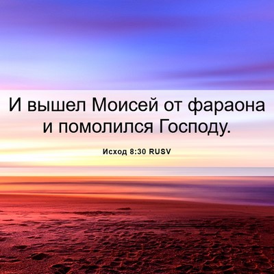 Picture 06 - Исход 8:30 RUSV - И вышел Моисей от фараона и - Bible Verse Picture