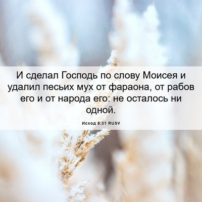 Picture 06 - Исход 8:31 RUSV - И сделал Господь по слову - Bible Verse Picture