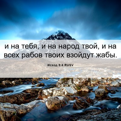 Picture 06 - Исход 8:4 RUSV - и на тебя, и на народ твой, и - Bible Verse Picture