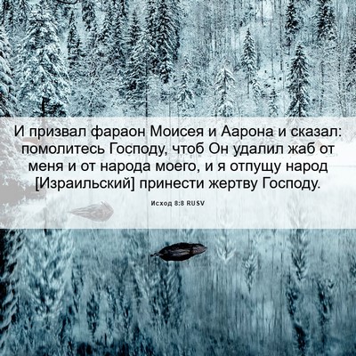 Picture 06 - Исход 8:8 RUSV - И призвал фараон Моисея и - Bible Verse Picture