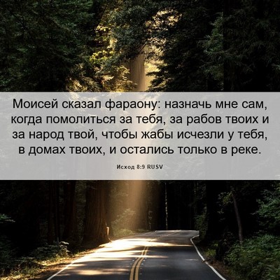 Picture 06 - Исход 8:9 RUSV - Моисей сказал фараону: - Bible Verse Picture