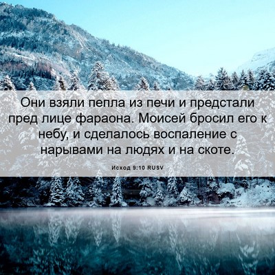 Picture 06 - Исход 9:10 RUSV - Они взяли пепла из печи и - Bible Verse Picture