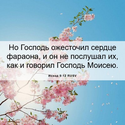 Picture 06 - Исход 9:12 RUSV - Но Господь ожесточил - Bible Verse Picture