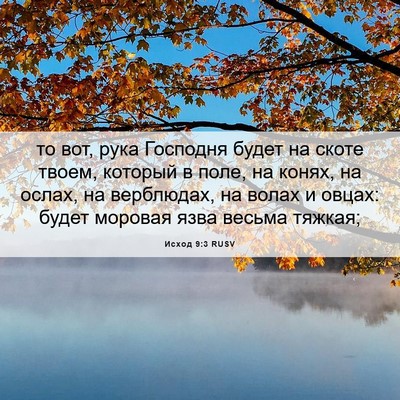 Picture 06 - Исход 9:3 RUSV - то вот, рука Господня будет - Bible Verse Picture