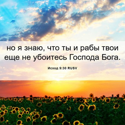Picture 06 - Исход 9:30 RUSV - но я знаю, что ты и рабы - Bible Verse Picture