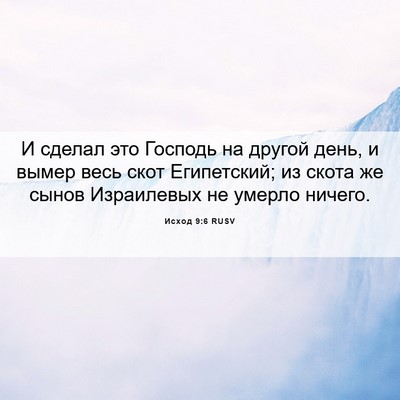 Picture 06 - Исход 9:6 RUSV - И сделал это Господь на - Bible Verse Picture