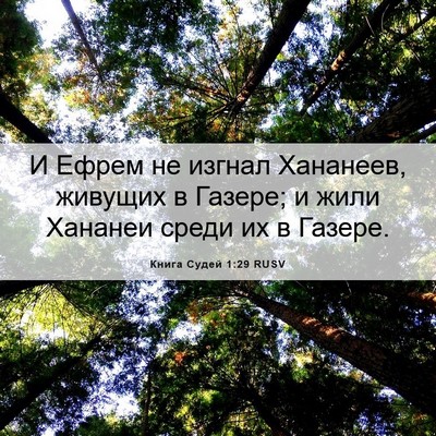 Picture 06 - Книга Судей 1:29 RUSV - И Ефрем не изгнал Хананеев, - Bible Verse Picture
