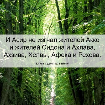 Picture 06 - Книга Судей 1:31 RUSV - И Асир не изгнал жителей - Bible Verse Picture