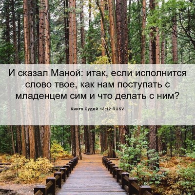 Picture 06 - Книга Судей 13:12 RUSV - И сказал Маной: итак, если - Bible Verse Picture
