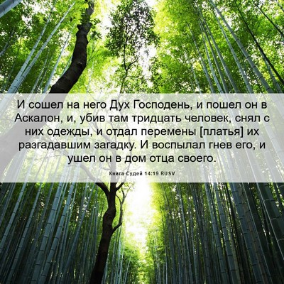 Picture 06 - Книга Судей 14:19 RUSV - И сошел на него Дух - Bible Verse Picture