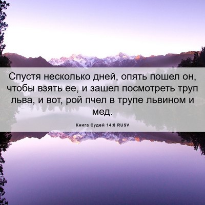Picture 06 - Книга Судей 14:8 RUSV - Спустя несколько дней, - Bible Verse Picture