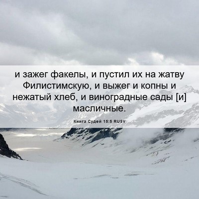 Picture 06 - Книга Судей 15:5 RUSV - и зажег факелы, и пустил их - Bible Verse Picture