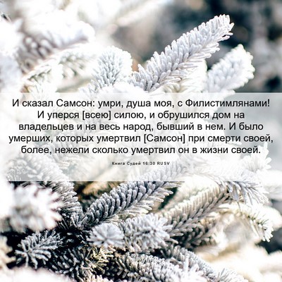 Picture 06 - Книга Судей 16:30 RUSV - И сказал Самсон: умри, душа - Bible Verse Picture