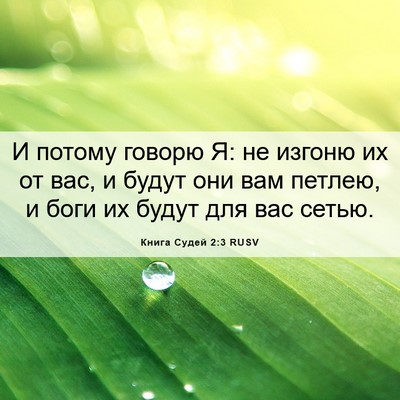 Picture 06 - Книга Судей 2:3 RUSV - И потому говорю Я: не - Bible Verse Picture