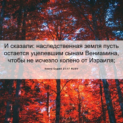 Picture 06 - Книга Судей 21:17 RUSV - И сказали: наследственная - Bible Verse Picture