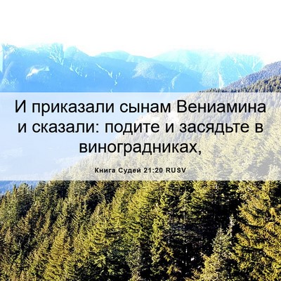 Picture 06 - Книга Судей 21:20 RUSV - И приказали сынам - Bible Verse Picture