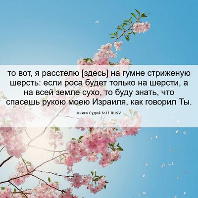 Picture 06 - Книга Судей 6:37 RUSV - то вот, я расстелю [здесь] - Bible Verse Picture