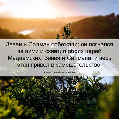 Picture 06 - Книга Судей 8:12 RUSV - Зевей и Салман побежали; он - Bible Verse Picture