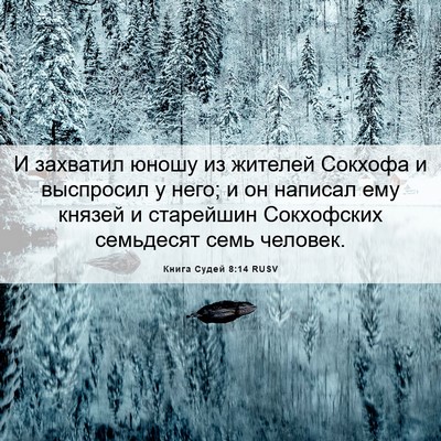 Picture 06 - Книга Судей 8:14 RUSV - И захватил юношу из - Bible Verse Picture