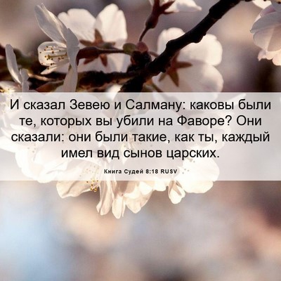 Picture 06 - Книга Судей 8:18 RUSV - И сказал Зевею и Салману: - Bible Verse Picture