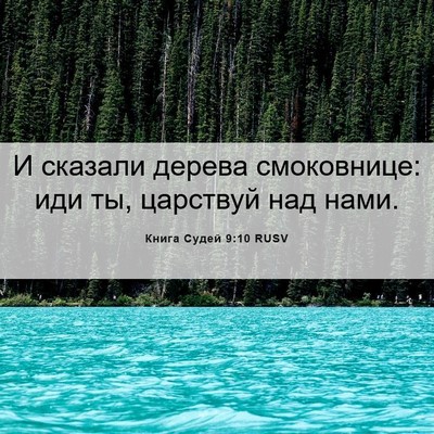 Picture 06 - Книга Судей 9:10 RUSV - И сказали дерева - Bible Verse Picture