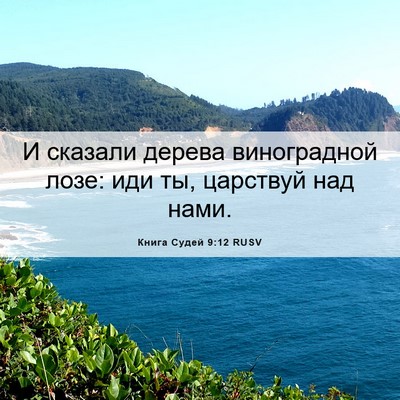 Picture 06 - Книга Судей 9:12 RUSV - И сказали дерева - Bible Verse Picture