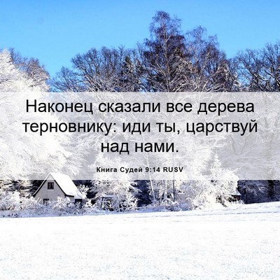 Picture 06 - Книга Судей 9:14 RUSV - Наконец сказали все дерева - Bible Verse Picture