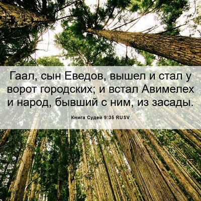 Picture 06 - Книга Судей 9:35 RUSV - Гаал, сын Еведов, вышел и - Bible Verse Picture