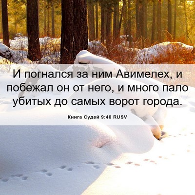 Picture 06 - Книга Судей 9:40 RUSV - И погнался за ним Авимелех, - Bible Verse Picture