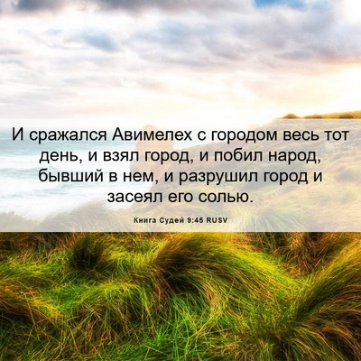 Picture 06 - Книга Судей 9:45 RUSV - И сражался Авимелех с - Bible Verse Picture