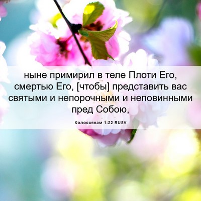 Picture 06 - Колоссянам 1:22 RUSV - ныне примирил в теле Плоти - Bible Verse Picture