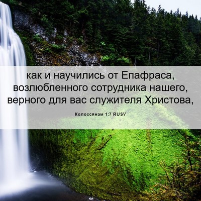 Picture 06 - Колоссянам 1:7 RUSV - как и научились от - Bible Verse Picture