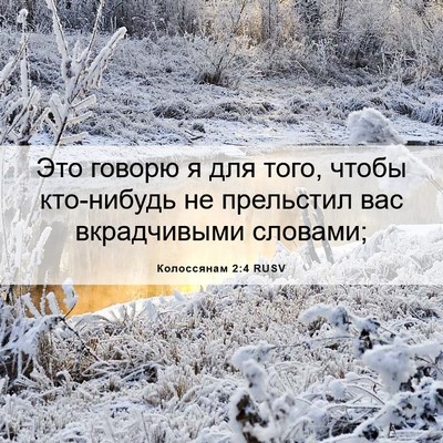 Picture 06 - Колоссянам 2:4 RUSV - Это говорю я для того, - Bible Verse Picture